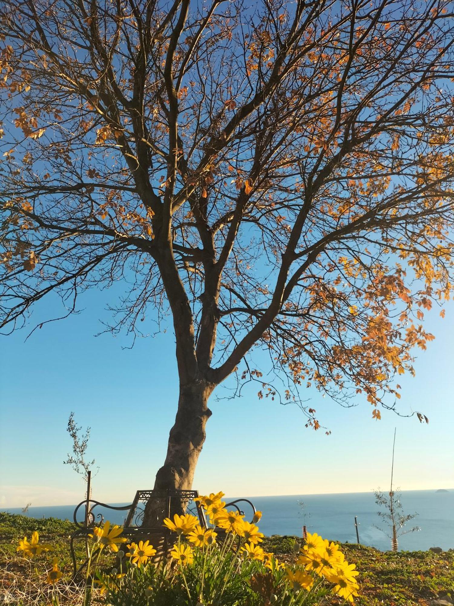 Bauernhof A Carubba Du Bungiurnu Borgio Verezzi
